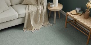 Soft green carpet in a living room with a cream sofa and neutral accessories